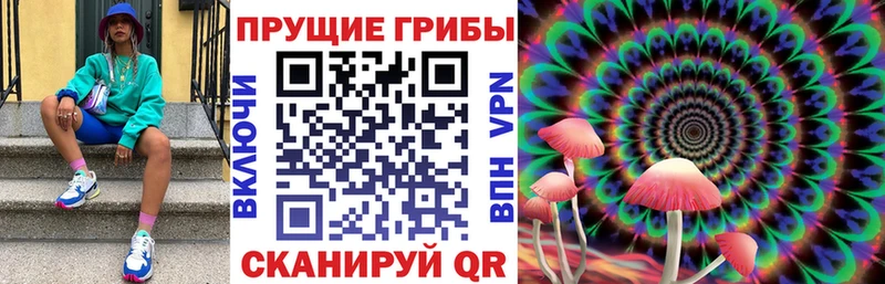 Галлюциногенные грибы мицелий  Купить где  Калтан 